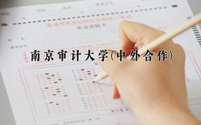 2024南京审计大学(中外合作)录取分数线，四川最低568分