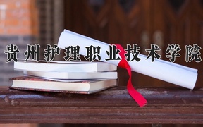 2024贵州护理职业技术学院录取分数线，四川最低431分