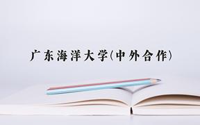 2024广东海洋大学(中外合作)录取分数线，四川最低520分