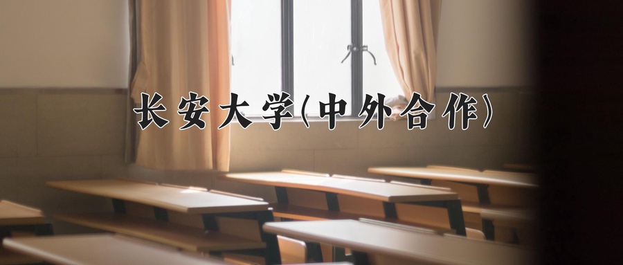 长安大学(中外合作)