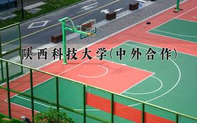 2024陕西科技大学(中外合作)录取分数线，四川最低554分