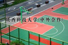 2024陕西科技大学(中外合作)录取分数线，四川最低554分