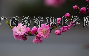 2024广西经济职业学院录取分数线，陕西最低264分