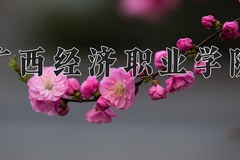 2024广西经济职业学院录取分数线，陕西最低264分