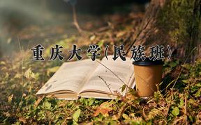 2024重庆大学(民族班)录取分数线，四川最低574分