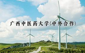 2024广西中医药大学(中外合作)录取分数线，四川最低500分