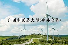 2024广西中医药大学(中外合作)录取分数线，四川最低500分