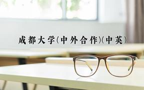 2024成都大学(中外合作)(中英)录取分数线，四川最低514分