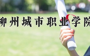 2024柳州城市职业学院录取分数线，四川最低378分
