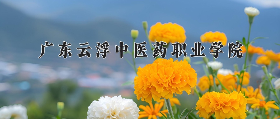 广东云浮中医药职业学院近三年录取分数线及位次:广东2021-2023最低分