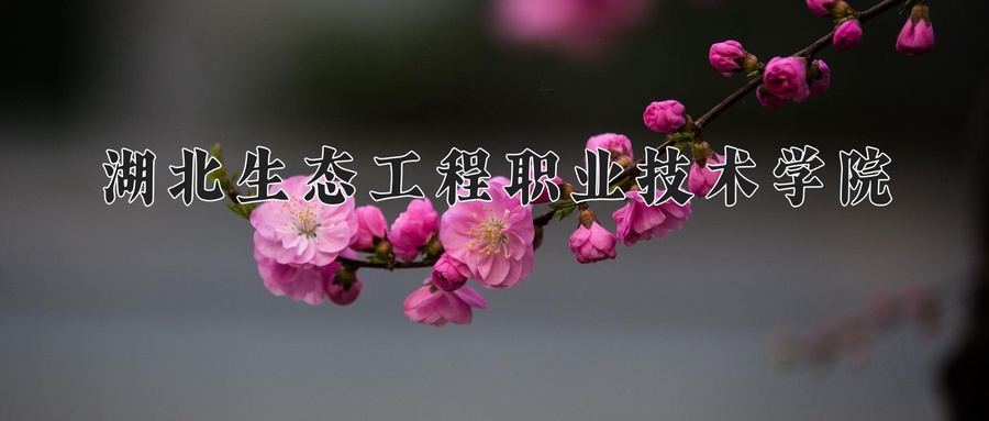 湖北生态工程职业技术学院近三年录取分数线及位次:广东2021-2023最低分