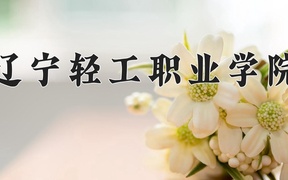 辽宁轻工职业学院近三年录取分数线及位次：广东2021-2023最低分