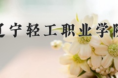 辽宁轻工职业学院近三年录取分数线及位次：广东2021-2023最低分