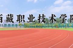 西藏职业技术学院近三年录取分数线及位次：广东2021-2023最低分