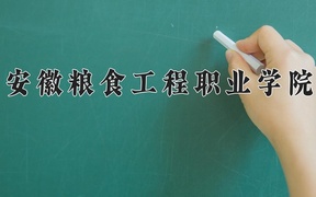安徽粮食工程职业学院近三年录取分数线及位次：广东2021-2023最低分