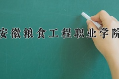 安徽粮食工程职业学院近三年录取分数线及位次：广东2021-2023最低分