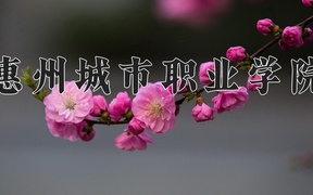 惠州城市职业学院近三年录取分数线及位次：广东2021-2023最低分