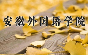 安徽外国语学院近三年录取分数线及位次：广东2021-2023最低分