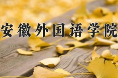 安徽外国语学院近三年录取分数线及位次：广东2021-2023最低分