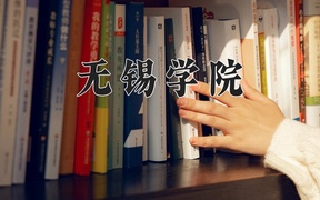无锡学院近三年录取分数线及位次：广东2021-2023最低分