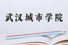 武汉城市学院近三年录取分数线及位次：广东2021-2023最低分