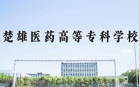 楚雄医药高等专科学校近三年录取分数线及位次：广东2021-2023最低分