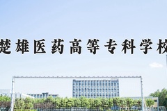 楚雄医药高等专科学校近三年录取分数线及位次：广东2021-2023最低分