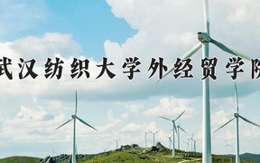 武汉纺织大学外经贸学院近三年录取分数线及位次：广东2021-2023最低分