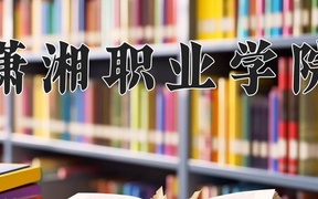 潇湘职业学院近三年录取分数线及位次：广东2021-2023最低分