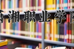潇湘职业学院近三年录取分数线及位次：广东2021-2023最低分