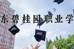 广东碧桂园职业学院近三年录取分数线及位次：广东2021-2023最低分