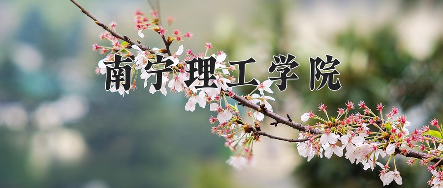 南宁理工学院近三年录取分数线及位次:广东2021-2023最低分