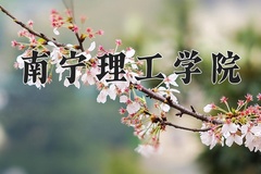 南宁理工学院近三年录取分数线及位次：广东2021-2023最低分