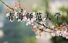 青海师范大学近三年录取分数线及位次：新疆2021-2023最低分