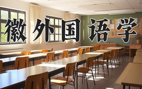 2024安徽外国语学院录取分数线，河南最低412分