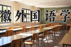2024安徽外国语学院录取分数线，河南最低412分