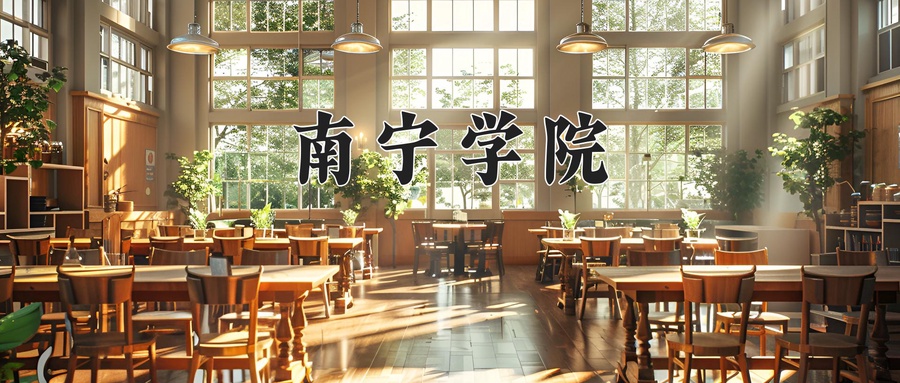 南宁学院