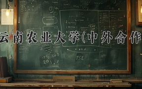 2024云南农业大学(中外合作)录取分数线，河南最低450分