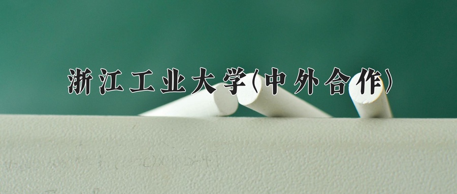 浙江工业大学(中外合作)