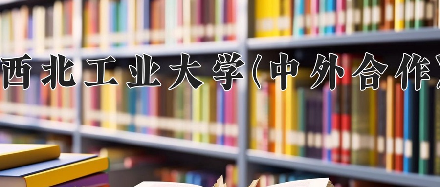 西北工业大学(中外合作)