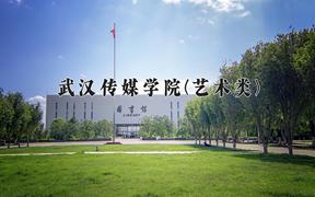 2024武汉传媒学院(艺术类)录取分数线，河南最低403分