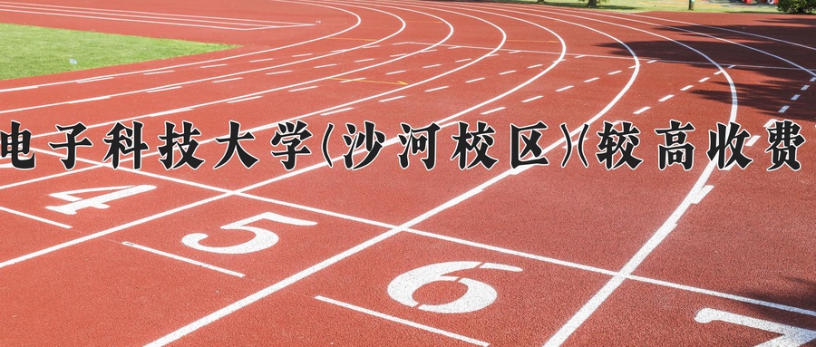 电子科技大学(沙河校区)(较高收费)
