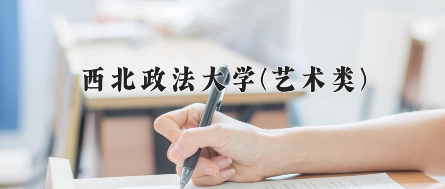 西北政法大学(艺术类)