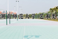 2024湖南师范大学(艺术类)录取分数线，河南最低545分