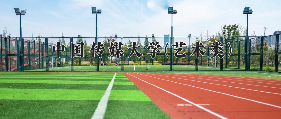 中国传媒大学(艺术类)