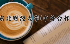 2024东北财经大学(中外合作)录取分数线，河南最低543分