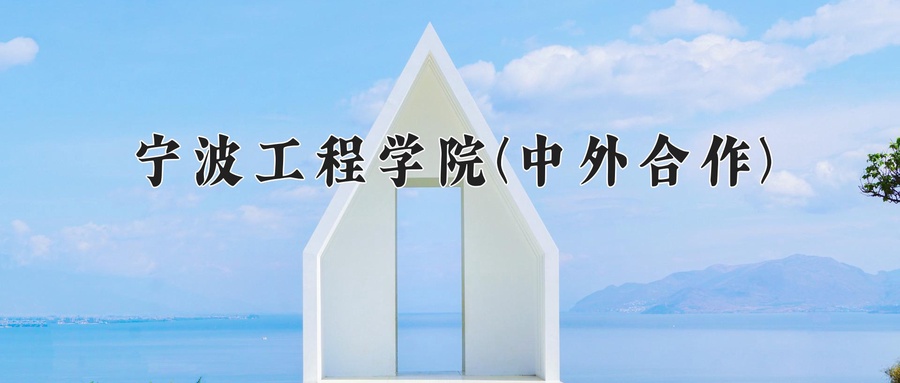 宁波工程学院(中外合作)