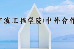 2024宁波工程学院(中外合作)录取分数线，河南最低490分