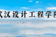 2024武汉设计工程学院录取分数线，河南最低424分
