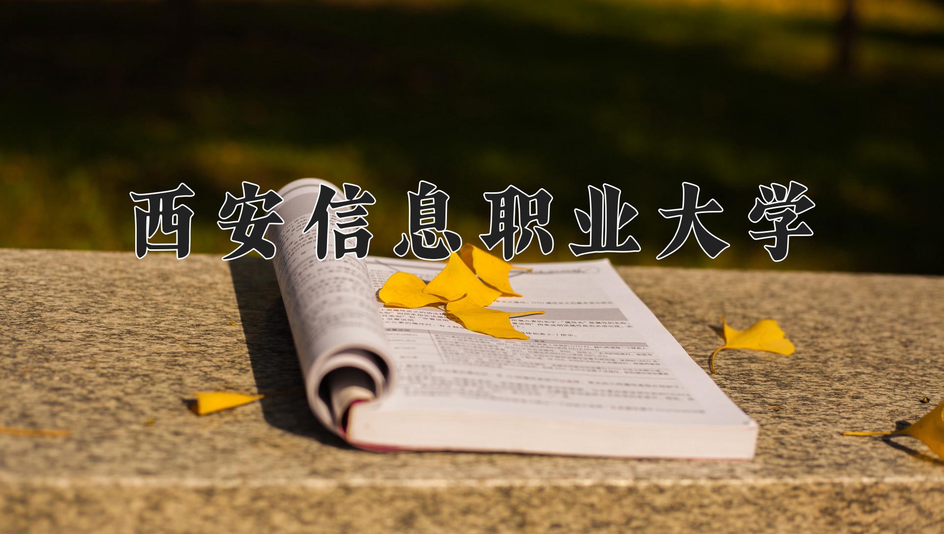 西安信息职业大学